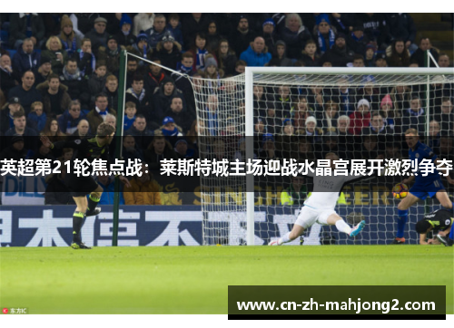 英超第21轮焦点战:莱斯特城主场迎战水晶宫展开激烈争夺 英超第21轮焦点战:莱斯特城主场迎战水晶宫展开激烈争夺